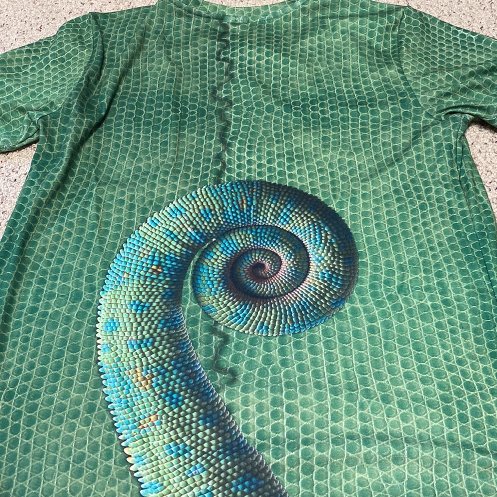 Pascal From Tangled
